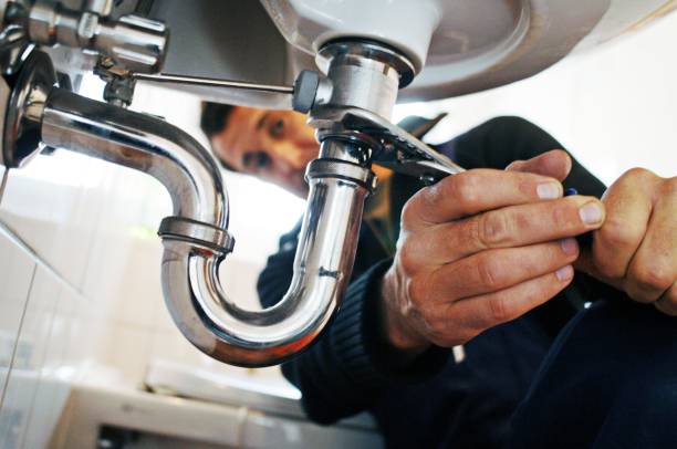 Best Residential Plumbing Services  in Flat Rock, MI
