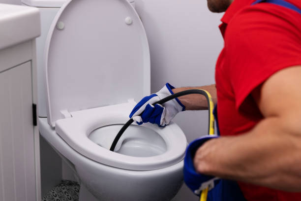 Best Same-Day Plumbing Service  in Flat Rock, MI