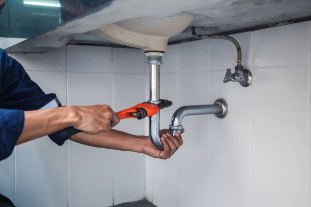 Best Plumbing Repair Near Me  in Flat Rock, MI