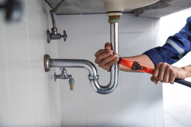 Best Sprinkler Systems  in Flat Rock, MI