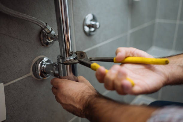 Best Clogged Drain Plumber  in Flat Rock, MI