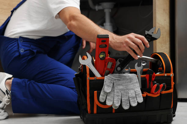 Best Plumbing Installation Services  in Flat Rock, MI