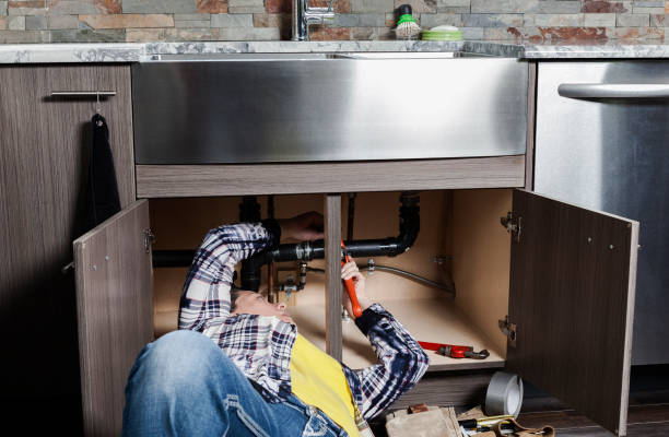 Best Local Plumber Services  in Flat Rock, MI