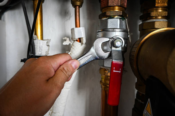 Best Affordable Plumber Near Me  in Flat Rock, MI